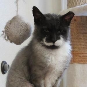 Meet your Posher, Gina